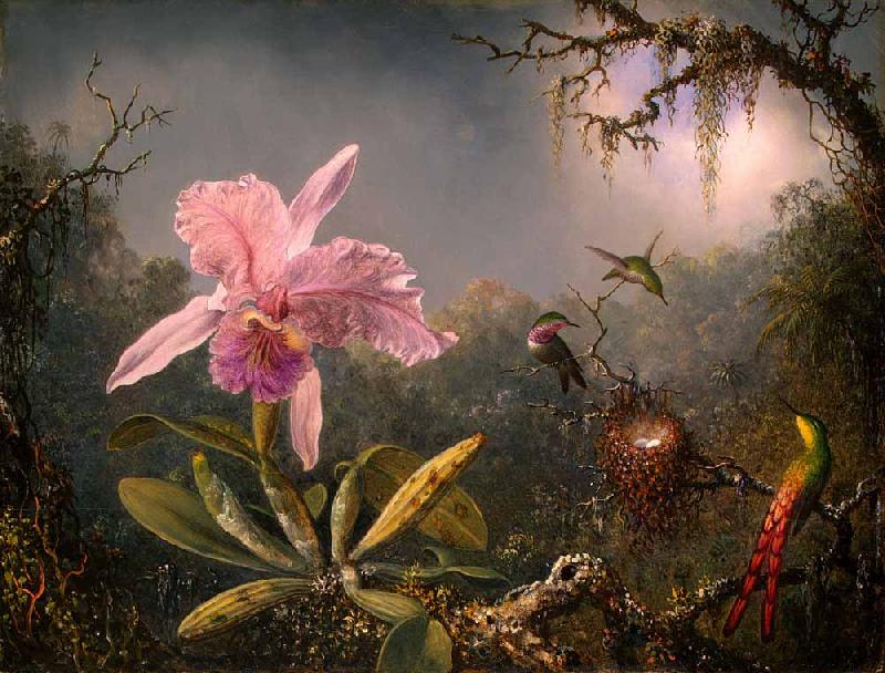 Martin Johnson Heade Cattleya Orchid and Three Hummingbirds